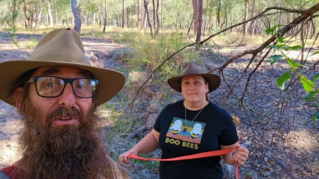 What's Out The Back? A Walk Through The Small Bush Paddock