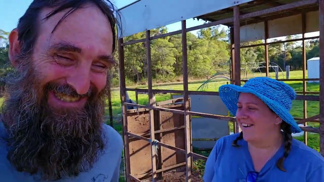 Renovating the Pig Shed Into a Chicken Pen